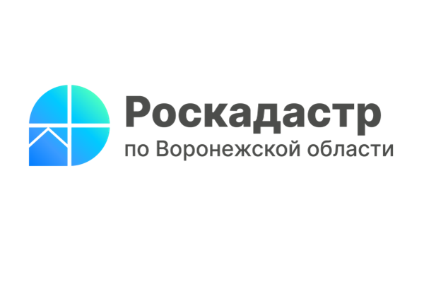 За полгода воронежцы заказали в 30 раз больше электронных выписок из ЕГРН, чем бумажных.