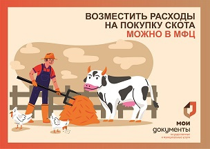 Центры «Мои Документы» Воронежской области помогут возместить расходы на покупку скота для подсобного хозяйства.
